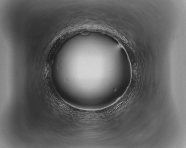 X0000116591495200912171543