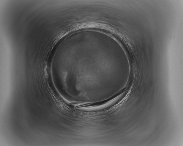 X0000116591497200912171543