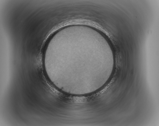 X0000116591498200912171543