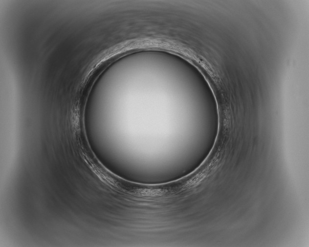 X0000116591499200912171543