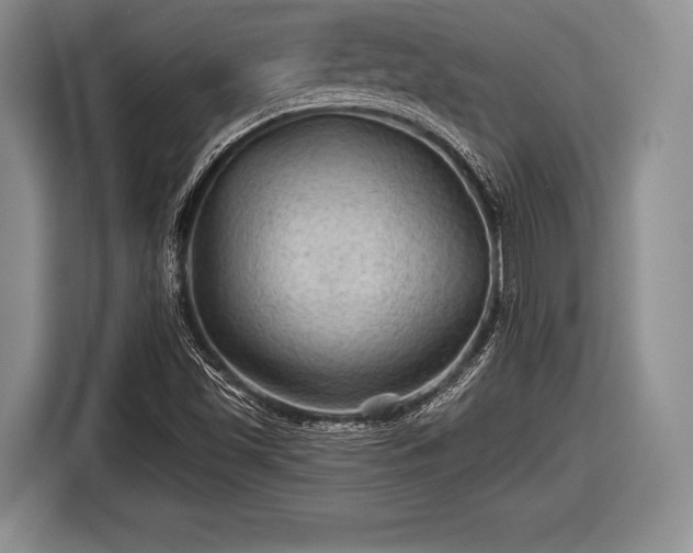 X0000116591501200912171543