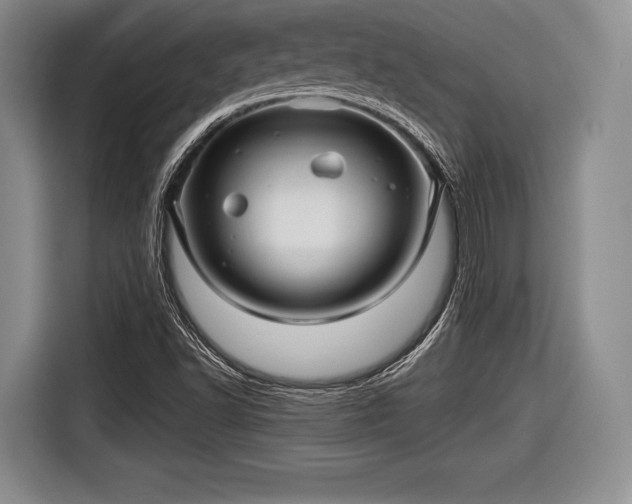 X0000116591502200912171543