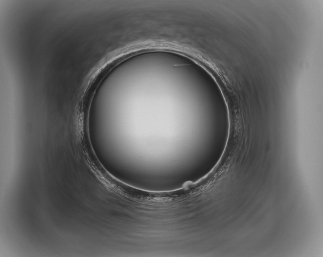 X0000116591503200912171543