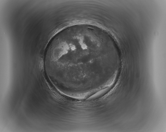 X0000116591505200912171543