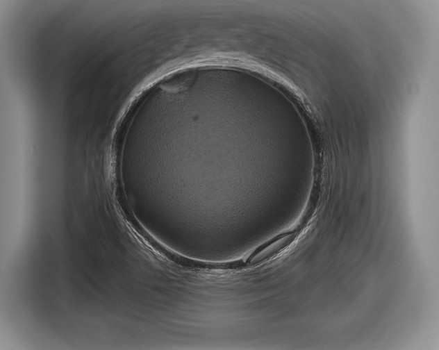 X0000116591506200912171543