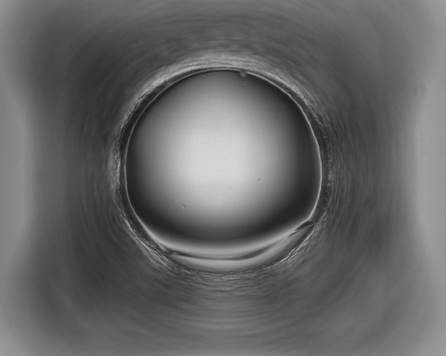 X0000116591507200912171543