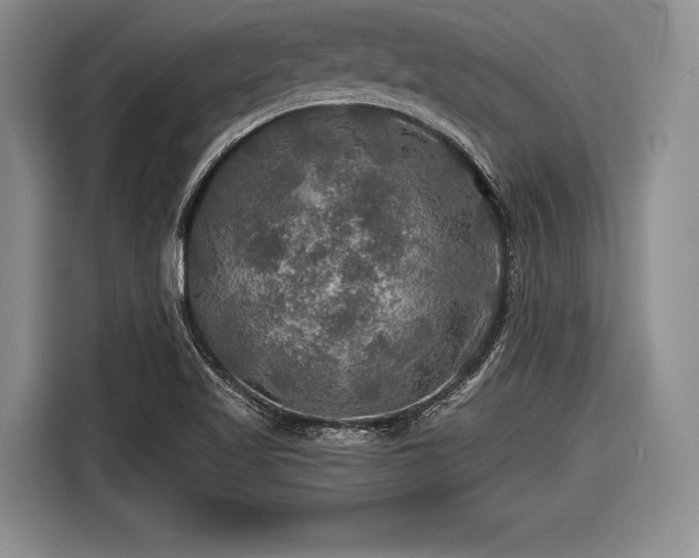 X0000116591509200912171543