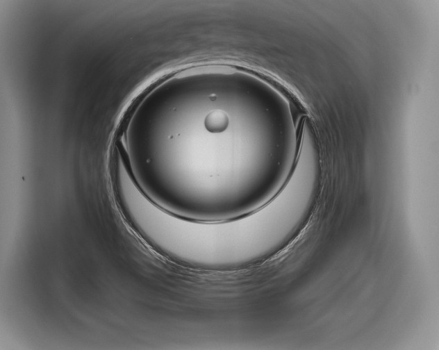 X0000116591510200912171543