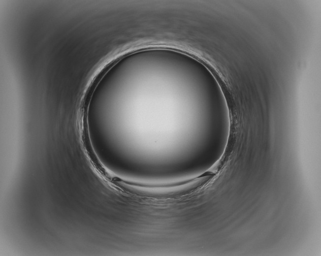 X0000116591511200912171543