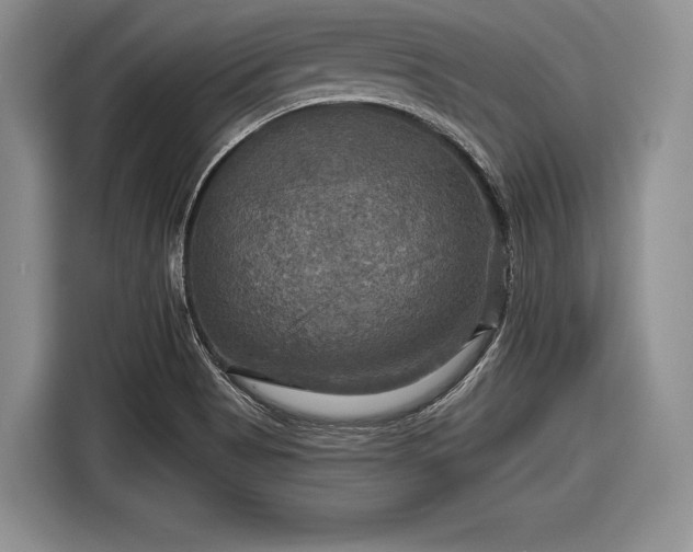 X0000116591513200912171543