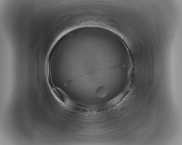 X0000116591515200912171543