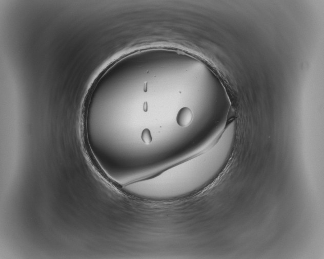 X0000116591518200912171543