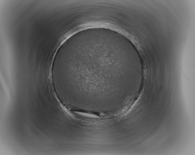 X0000116591521200912171543