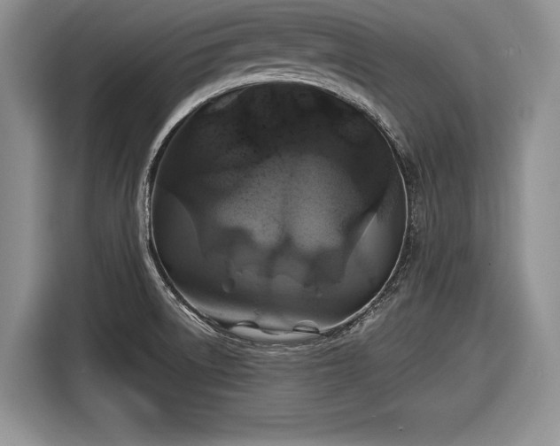 X0000116591522200912171543