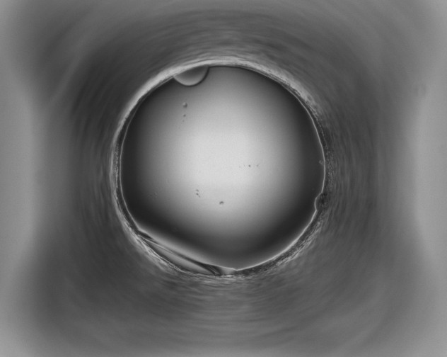 X0000116591526200912171543