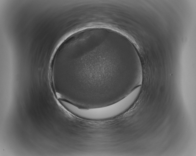 X0000116591527200912171543