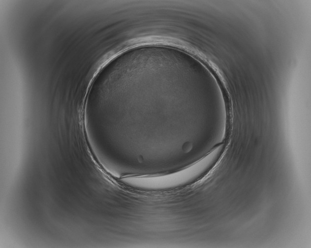 X0000116591529200912171543