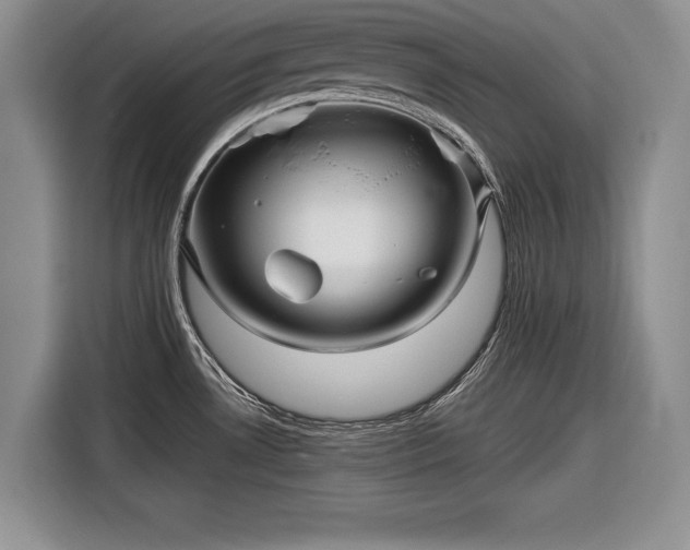 X0000116591530200912171543