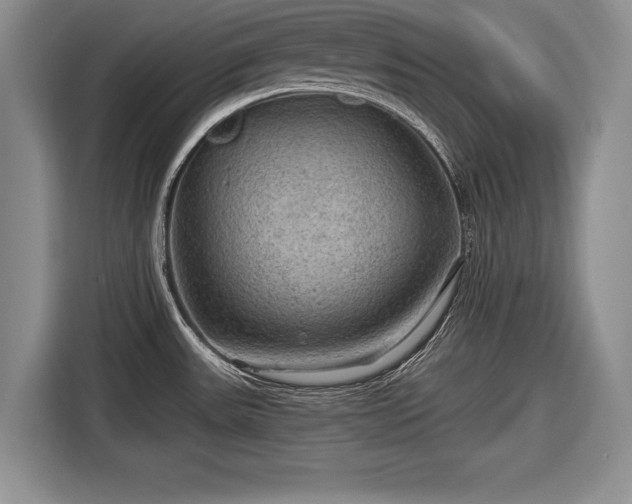 X0000116591531200912171543