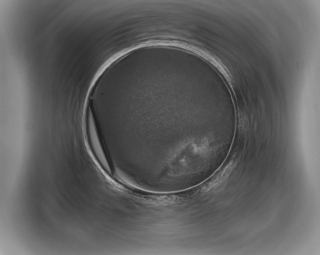 X0000116591533200912171543