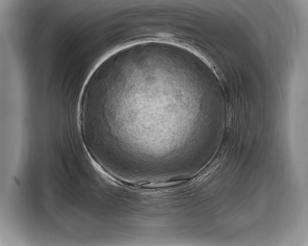 X0000116591535200912171543