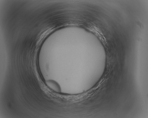 X0000116590001200912291317