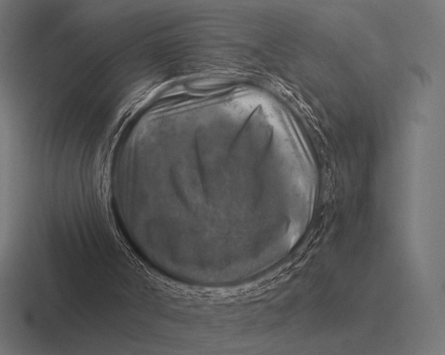 X0000116590002200912291317