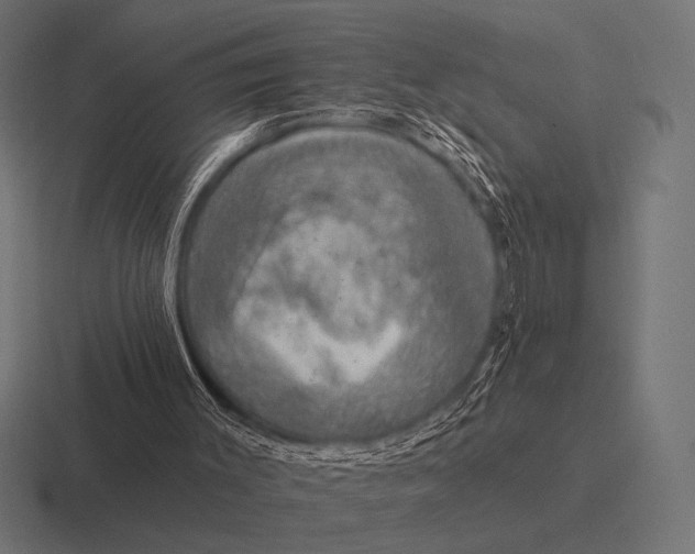 X0000116590003200912291317