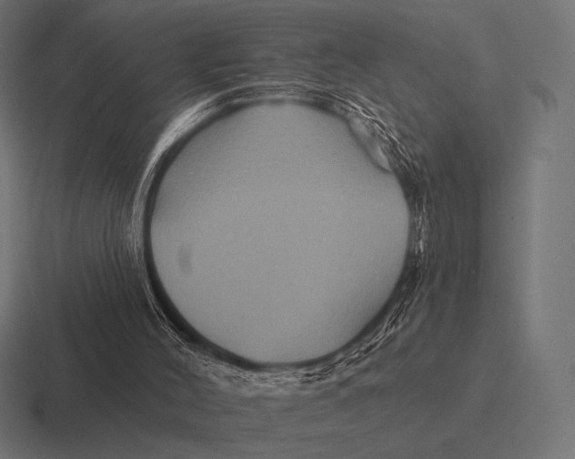 X0000116590004200912291317