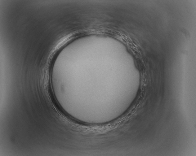 X0000116590005200912291317