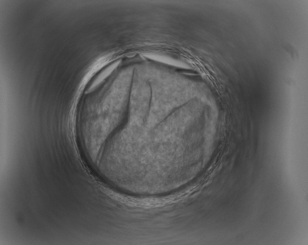 X0000116590006200912291317