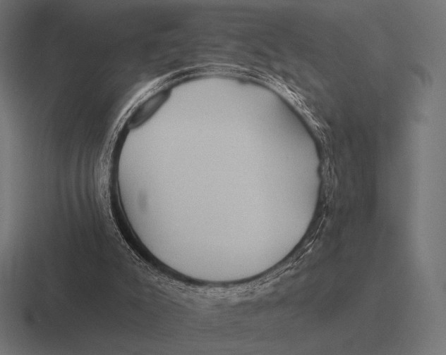 X0000116590007200912291317