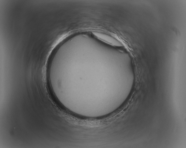 X0000116590008200912291317