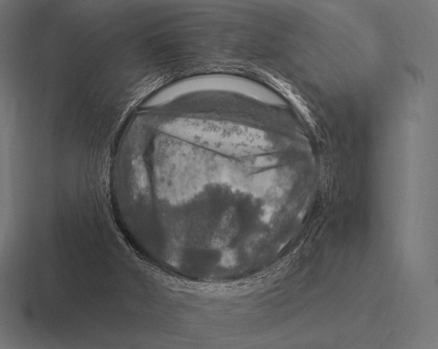 X0000116590010200912291317