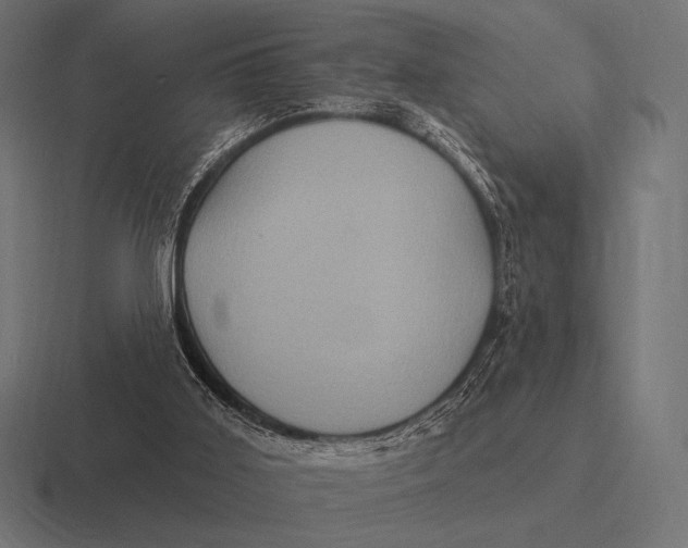 X0000116590011200912291317