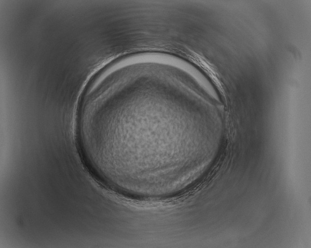 X0000116590012200912291317