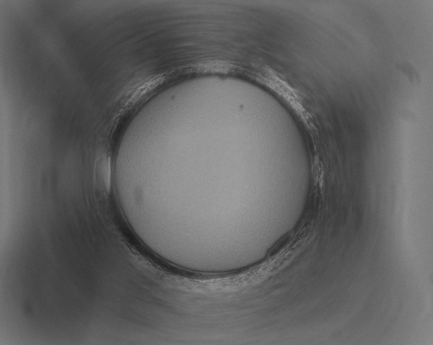 X0000116590013200912291317