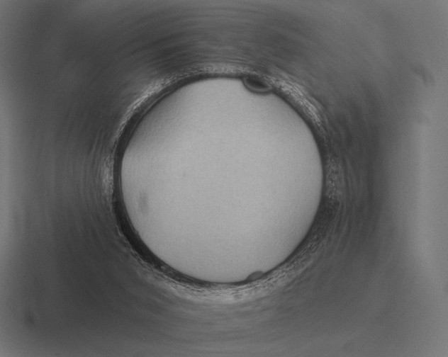 X0000116590015200912291317