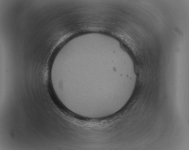 X0000116590016200912291317