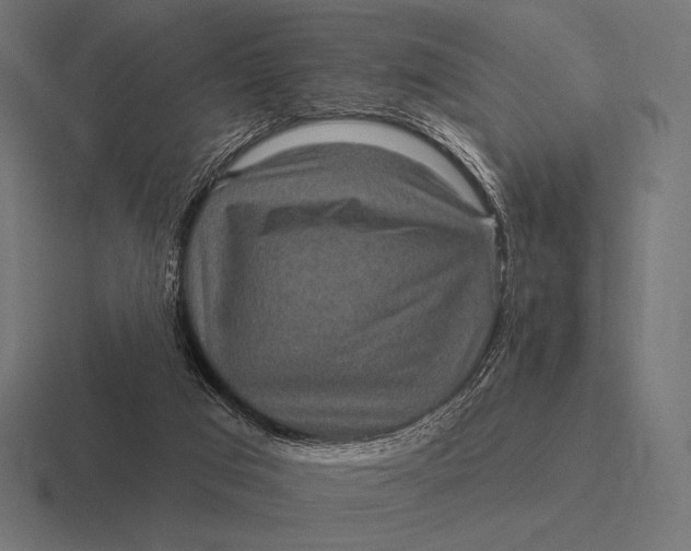 X0000116590017200912291317