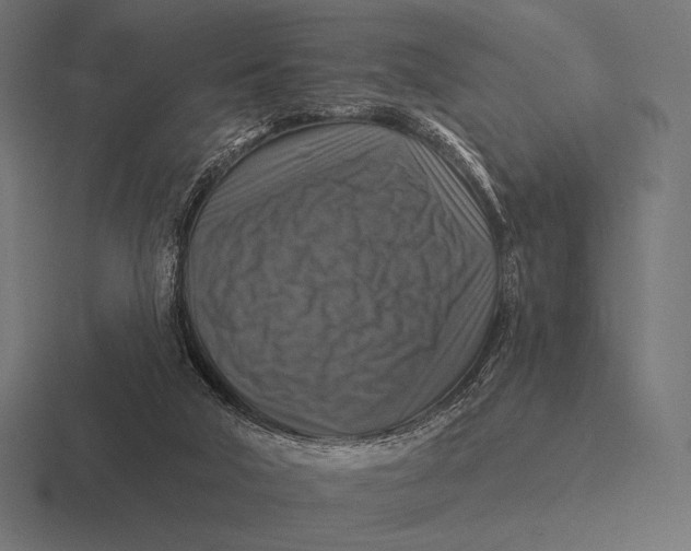 X0000116590018200912291317