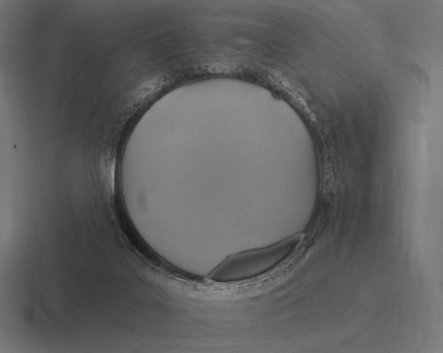 X0000116590019200912291317