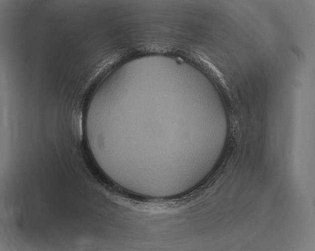 X0000116590020200912291317