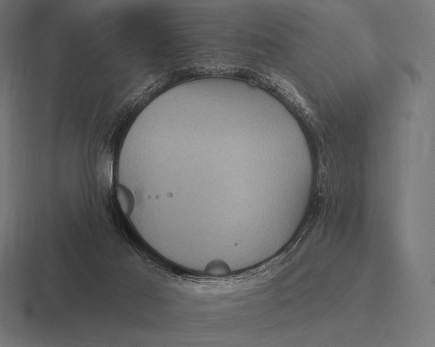 X0000116590021200912291317