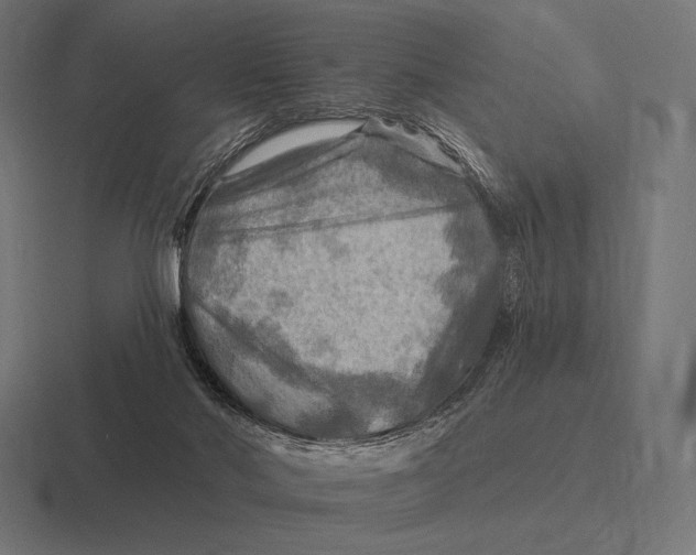 X0000116590022200912291317