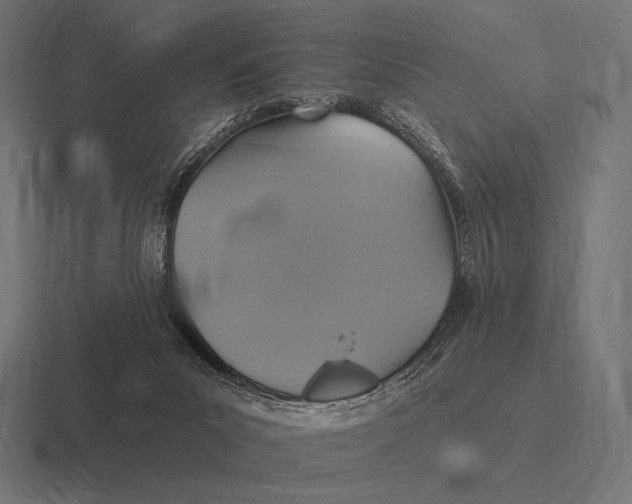 X0000116590023200912291317