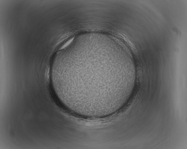 X0000116590024200912291317