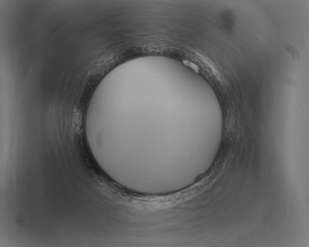 X0000116590025200912291317