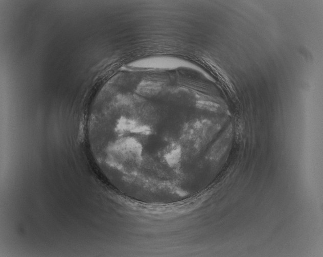 X0000116590026200912291317