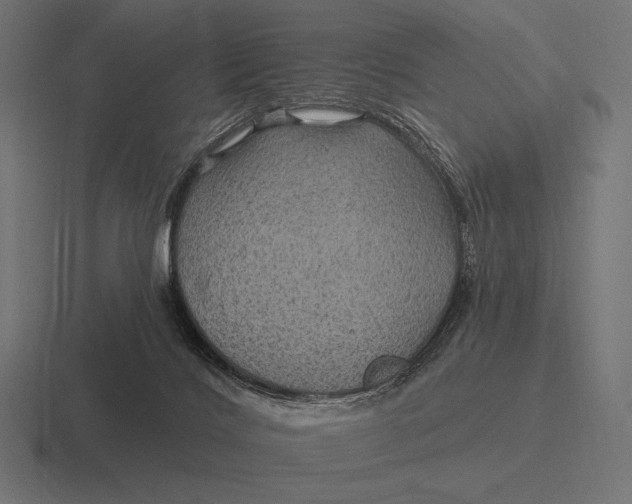 X0000116590028200912291317